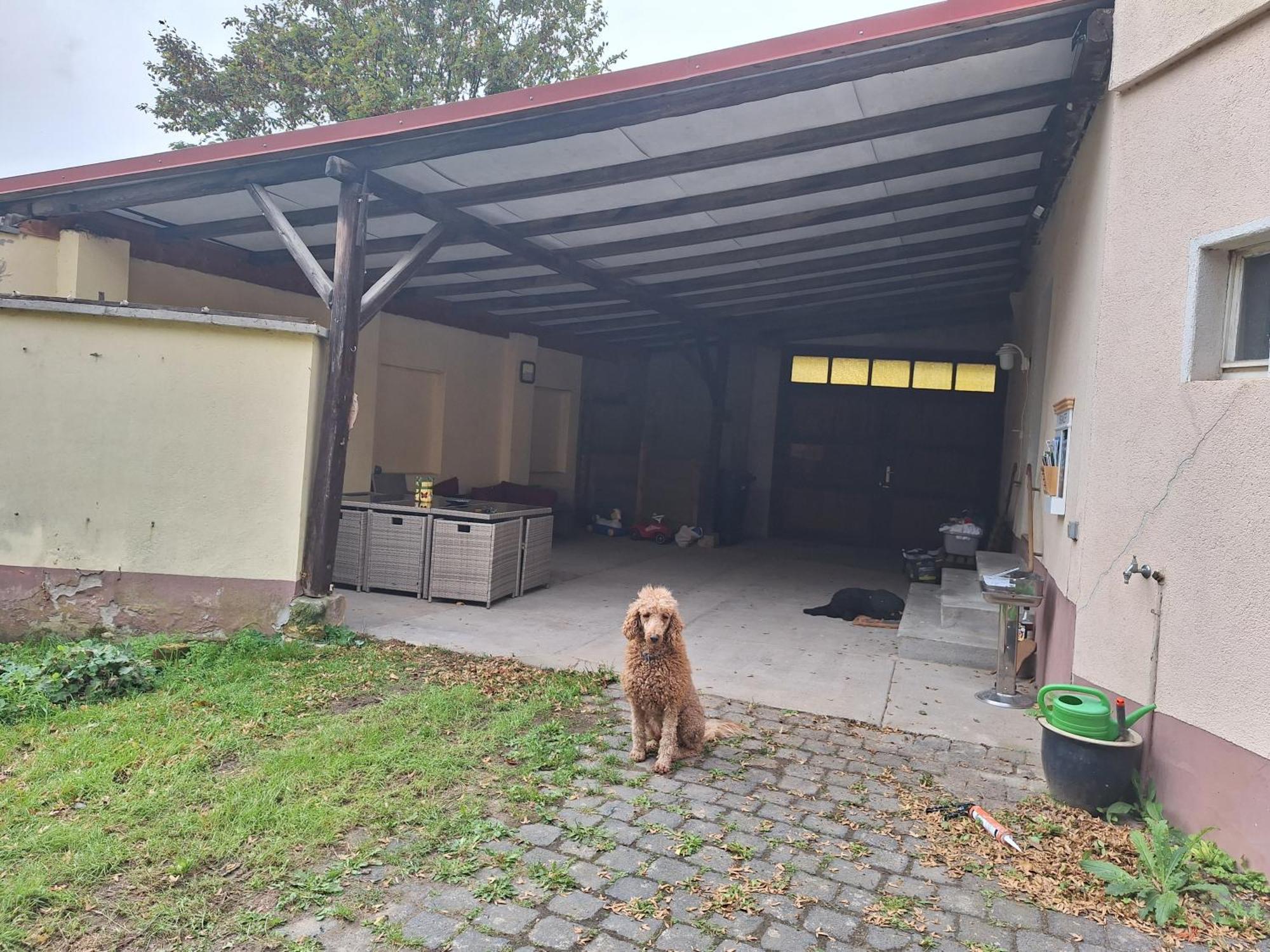 Ferienhaus Herztor 바트비브라 외부 사진